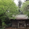 竹原神社の上溝桜と山桜・・