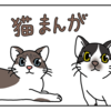 ねこのふしぎ④