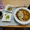 カレーライス４日目(昼も夜も)