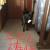 甲斐犬サン、狩猟解禁す❗️の巻〜アレ、禁猟デショ¿（・・）?