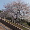 竜王公園でお花見、バーベキュー場 テニスコート 卓球場 ドッグランもあります