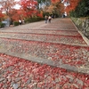 京都西山「光明寺」紅葉　2019