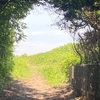 【自閉症児】海辺を歩き、全身びしょ濡れに