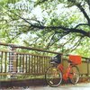 空気公団 「レモンを買おう」 (1999)