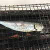 10/9昼食・活き活き亭（千葉県木更津市）