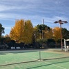 今日は光が丘公園で銀杏を眺めながらテニス