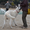 1月13日雅トレ会