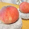 ももの季節が開幕～猛暑で桃は甘くなる？～