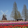 あけぼの山農業公園