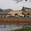 【大嘗宮と乾通りの紅葉】雨だから超余裕で見学できました・後編