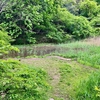 池ぶち広場の池（仮称）（神奈川県横浜）