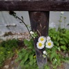 快適だったな。