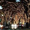 カレーJIZI　新潟市　クリスマスコンサート