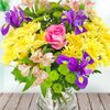 Online flower delivery in Amravati