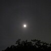 今夜の月