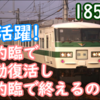185系ツアー以外運用は集約臨で復活し集約臨に終わる？C1編成 連日運行！ いつまで見れるのでしょうね