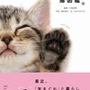 1/25から❗️❗️過去最大規模の「ねこ休み展　2019」が東京で開催❗️❗️