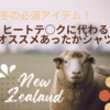 ヒートテ○クに代わるオススメあったかインナーシャツin ニュージーランド
