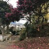 かもめ公園