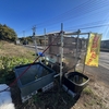 雨水は、メダカ飼育の、味方なり