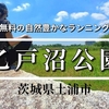 駐車場無料の快適ランニングコース！自然豊かな乙戸沼公園【茨城・土浦市】