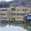 誕生寺池（岡山県久米）