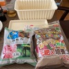 ねぎの栽培もやろうと思います