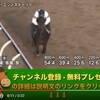 クイーンカップ（GIII） 【競馬調教】 ニシノストーリー調教動画