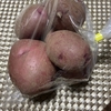 じゃがいも愛