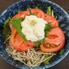 蕎麦道楽日記～冷かけ湯葉そば