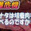 【食糧危機】アナタは培養肉を食べるのですか？w