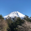 富士山は遠い。