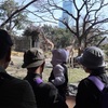 今日私が動物園で見てきたものは…