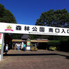 森林公園