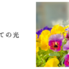 初めての光