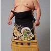 令和元年夏場所（5月場所）北勝富士 場所前。