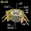 運動系の機能と異常まとめ