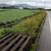 ３日目　群馬県嬬恋村～長野県小布施町