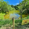 はたご池（静岡県富士）