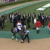 東京競馬場で逢おう ヴィクトリアマイル