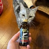 草刈り日和だけど。猫優先です、