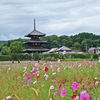 奈良　菖蒲池から王寺まで散歩