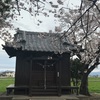 再び日枝神社様へ〜桜を探して7