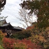 京都で紅葉狩り