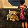 東京ディズニーリゾートへ7歳2歳の子連れ旅行に行ってきたよ！8月のディズニーは暑かった（1泊2日）【ディズニー家族旅行記】