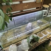 野生メダカの生息環境を知る～メダカ飼育上達のために～