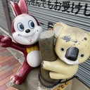 (仮)