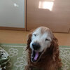 新型コロナとルンバ