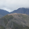 朝来山へのハイク（その１）立雲峡～むささびコース