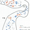 古敷谷川支流西川　甌穴について